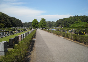 松戸市営白井聖地公園 2