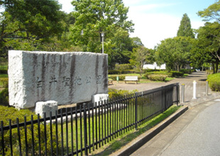 松戸市営白井聖地公園 1